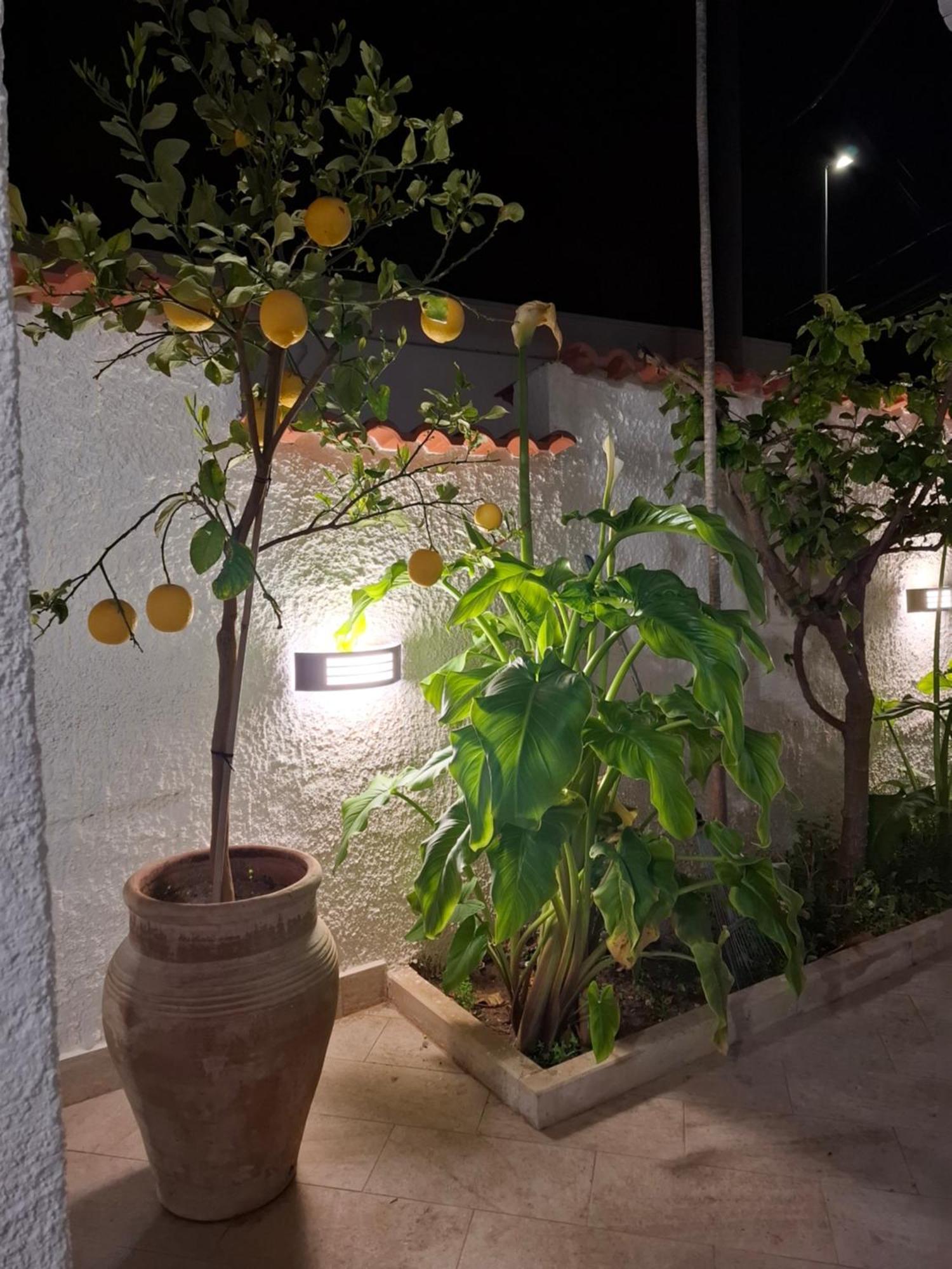 فيلا Toluammare Sicily سانتا ماريا ديل فوكالو المظهر الخارجي الصورة